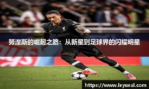 努涅斯的崛起之路：从新星到足球界的闪耀明星
