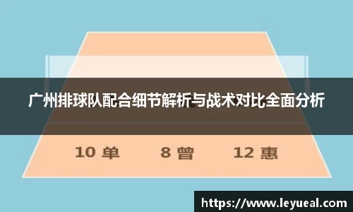 广州排球队配合细节解析与战术对比全面分析